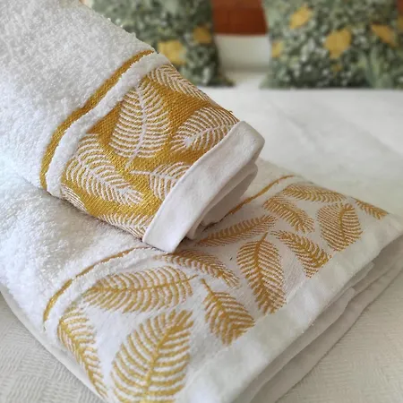 Carril - Camino Do Carro *