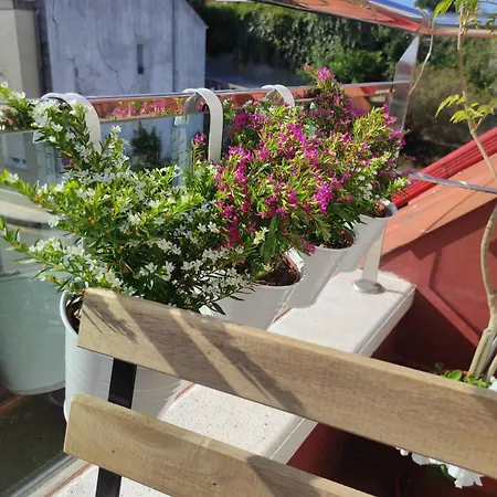 Carril - Camino Do Carro شقة فيلاغارثيا دي أروزا