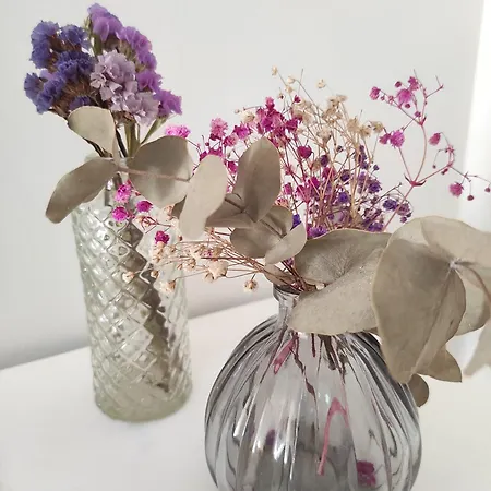 Carril - Camino Do Carro *