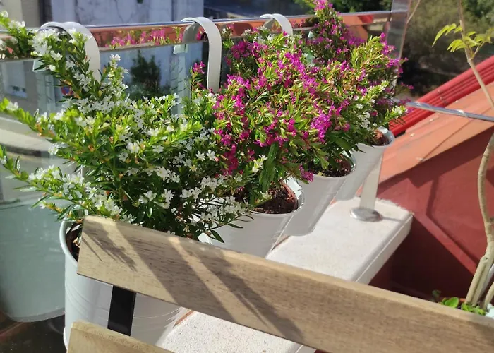 Carril - Camino Do Carro Appartement Vilagarcia de Arousa