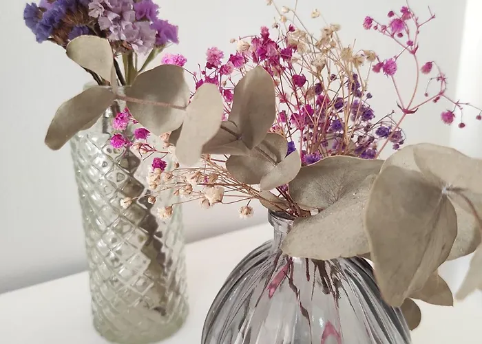 Carril - Camino Do Carro *